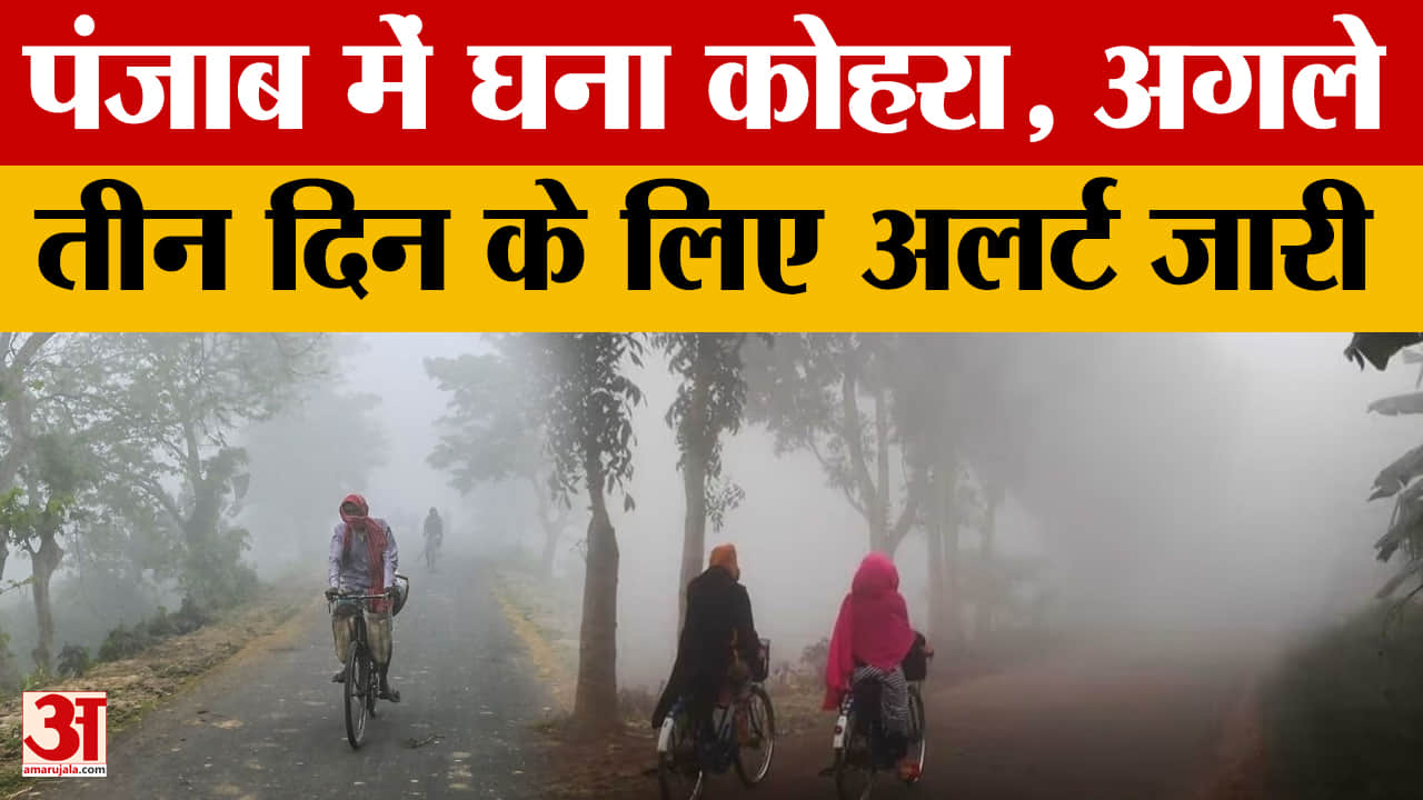 पंजाब में घने कोहरे का कहर, सड़क हादसे में रोडवेज चालक की मौत, तीन दिन के लिए अलर्ट जारी
