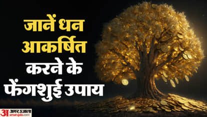 Feng Shui tips for money dont keep these things in your home