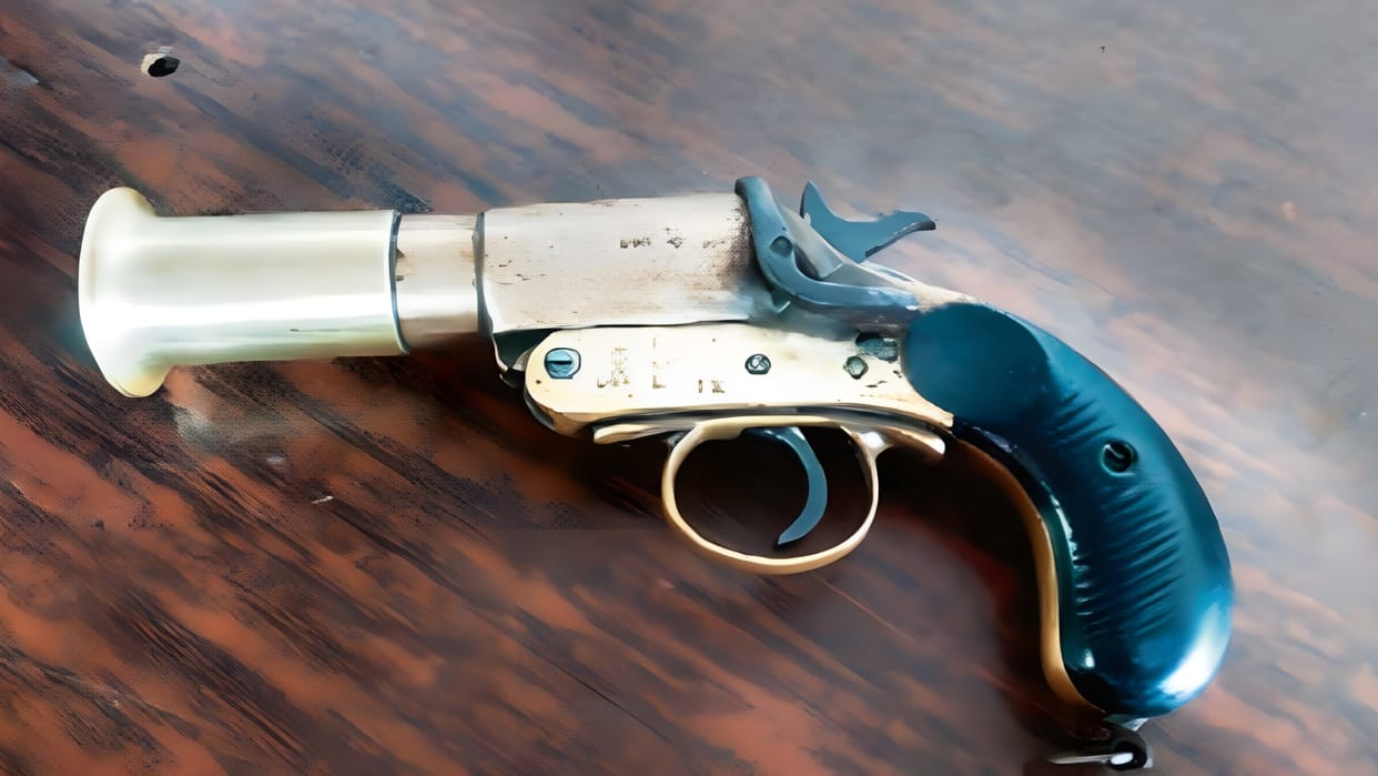 Pistol fired at Cocktail party woman injured Mehndi ceremony Dehradun News