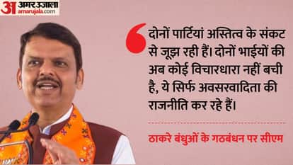 maharashtra cm devendra fadnavis slam uddhav raj thackeray alliance called putin zelenskyy