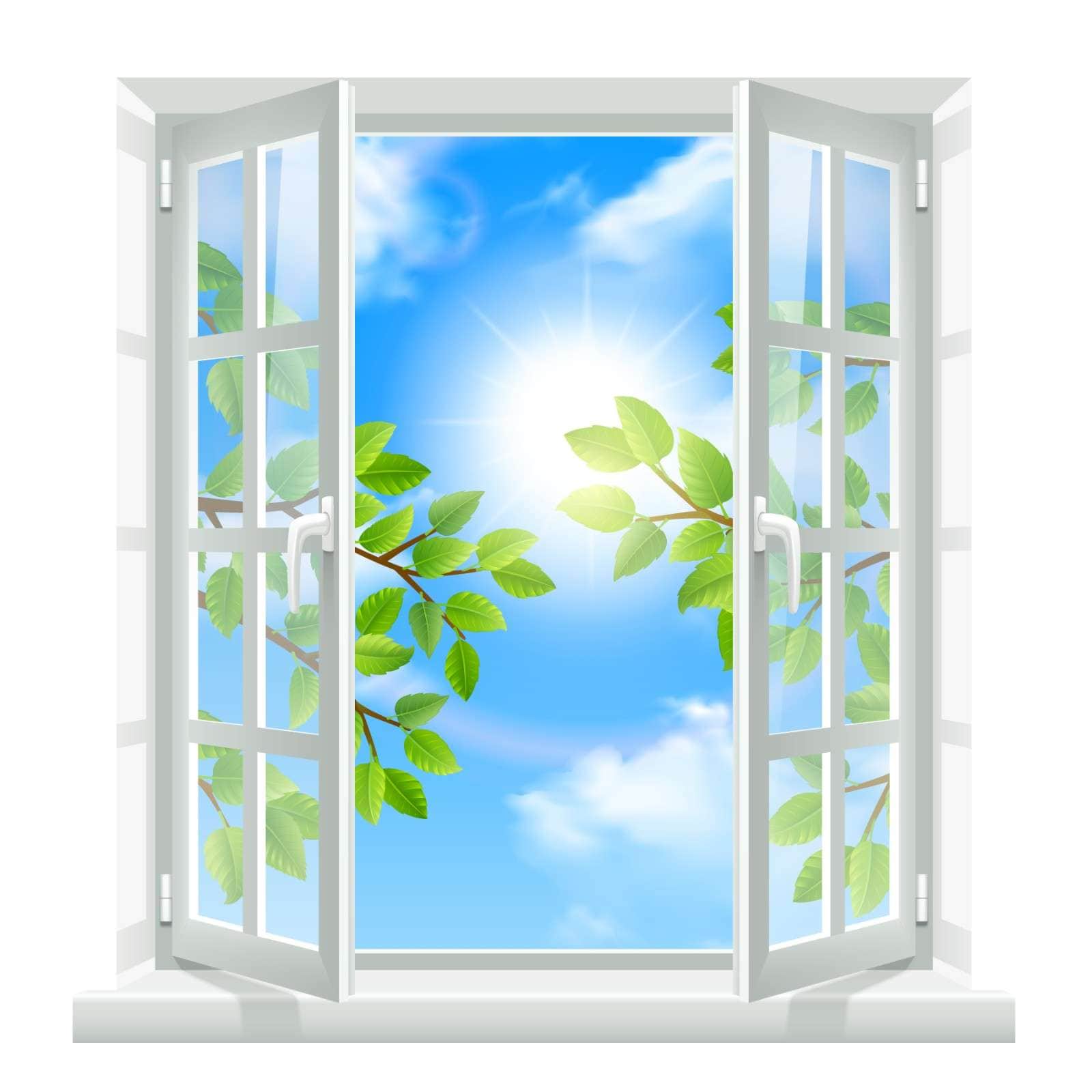 Keep your home air clean without air purifier just follow these free easy tips