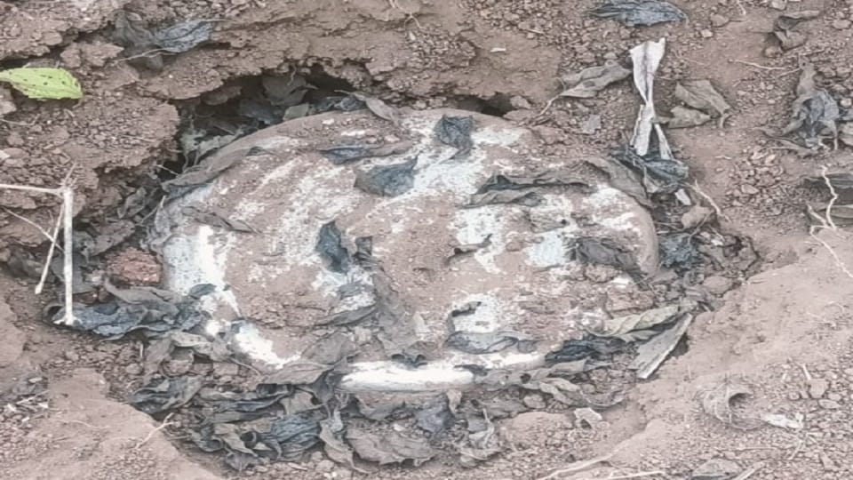 आईईडी बरामद किया नष्ट