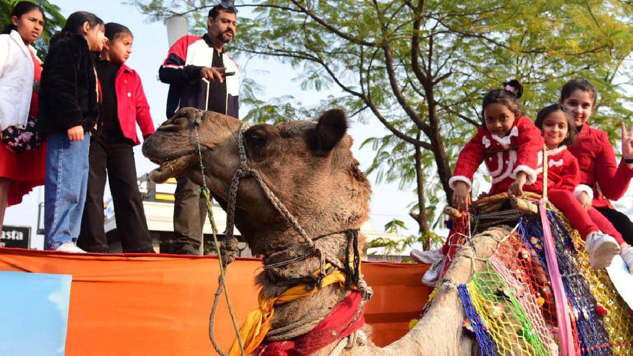 Amar Ujala Sangam: A world of cultures unfolds on the banks of the Gomti river; children enjoy camel rides...