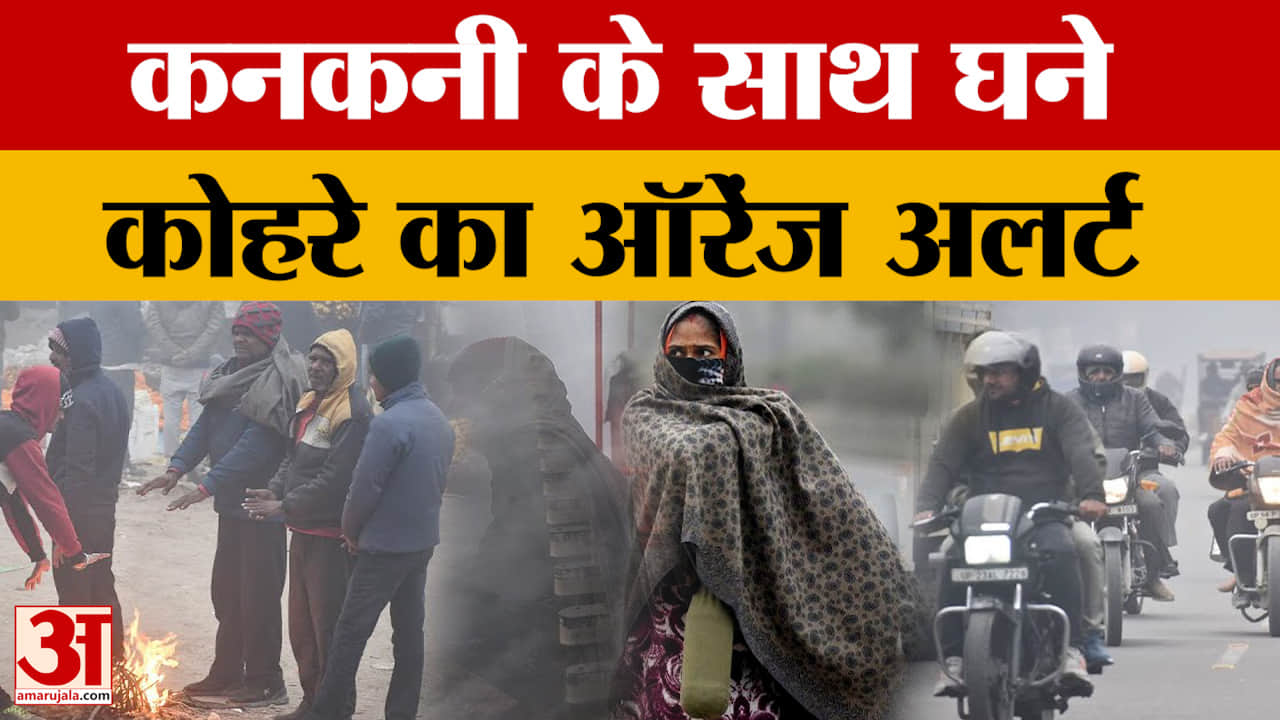 Bihar Weather News: 29 दिसंबर तक शीतलहर का कहर,विजिबिलिटी 10 मीटर तक गिरी, थम गई रफ्तार
