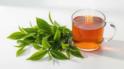 Wrong to call a beverage that does not contain Camellia sinensis as tea, regulator warns against misleading