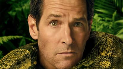 Anaconda Hollywood Movie Starring Paul Rudd And Jack Black Day 1 Box Office Collection