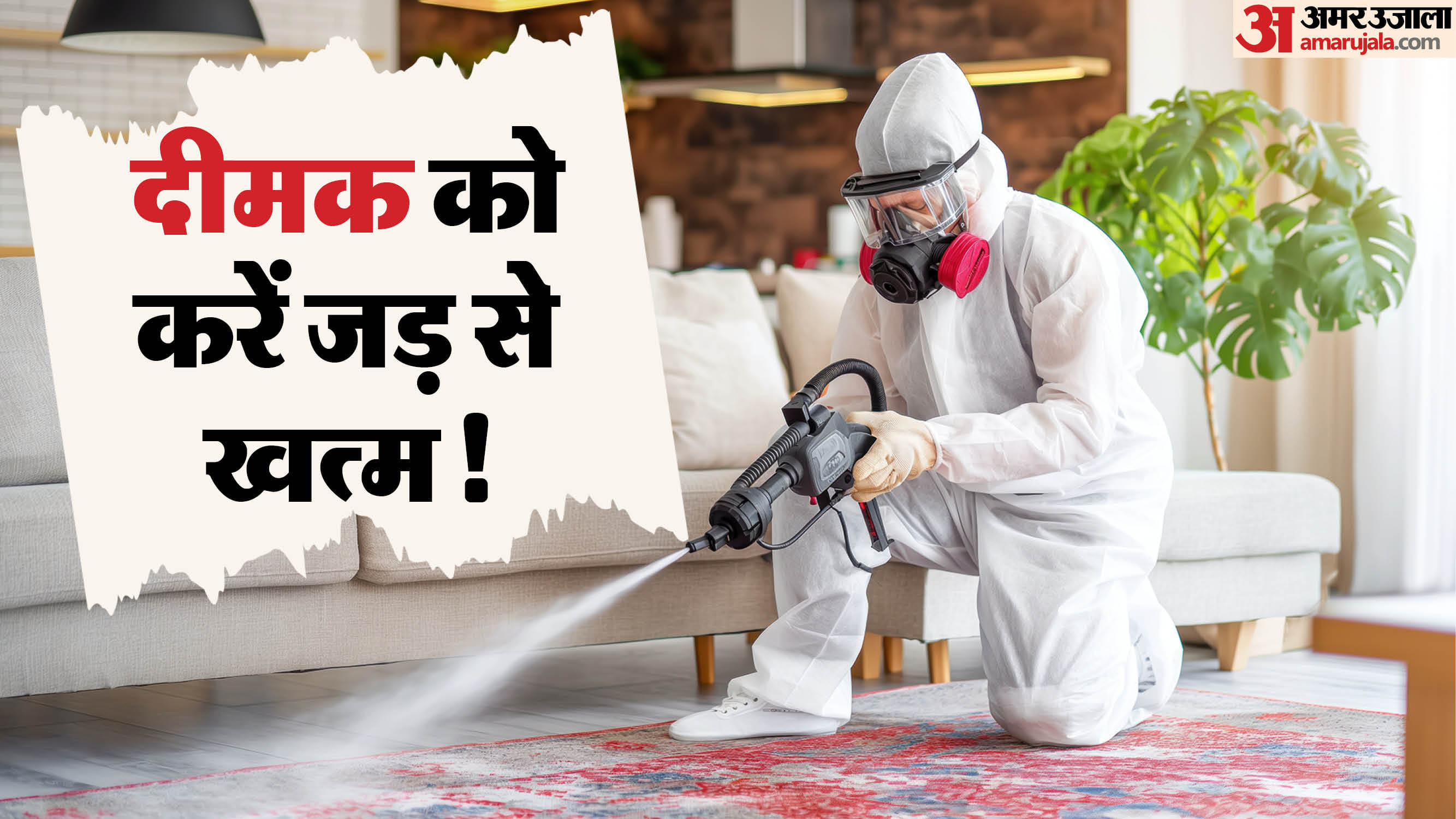 how to remove termites from furniture at home