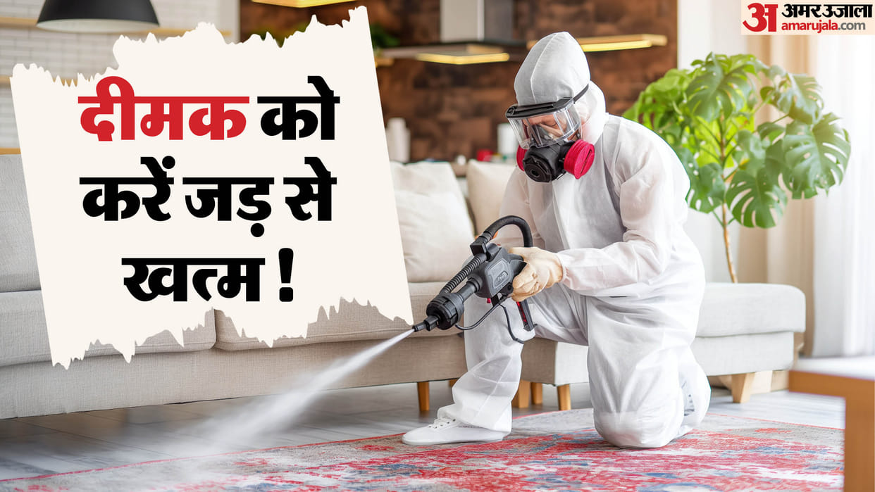 how to remove termites from furniture at home