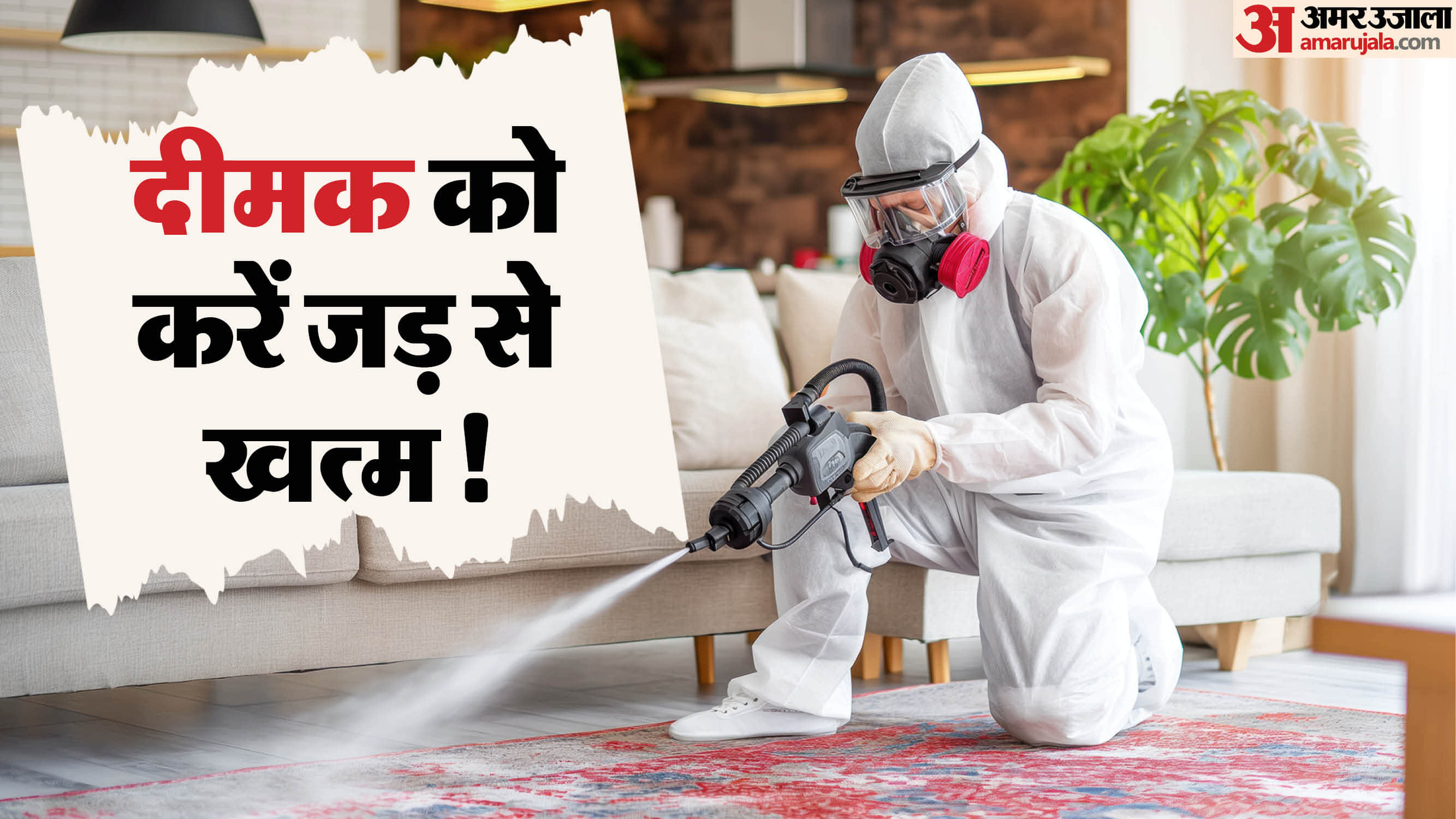 how to remove termites from furniture at home