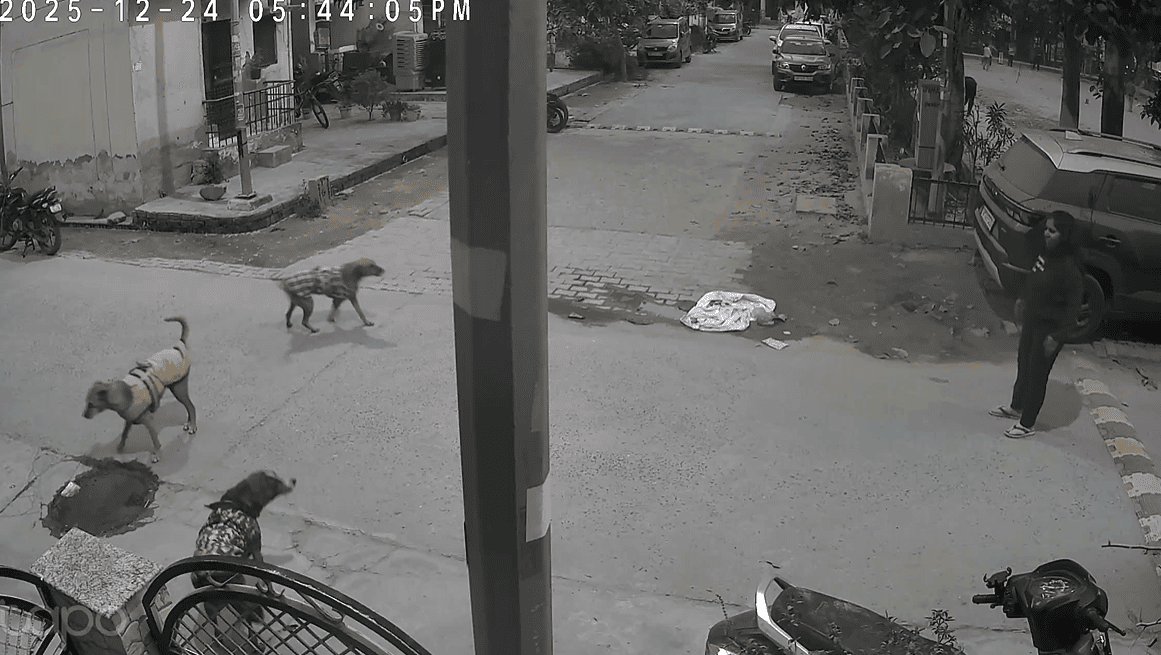 Complaint lodged in police station after dog attack on woman in Ghaziabad