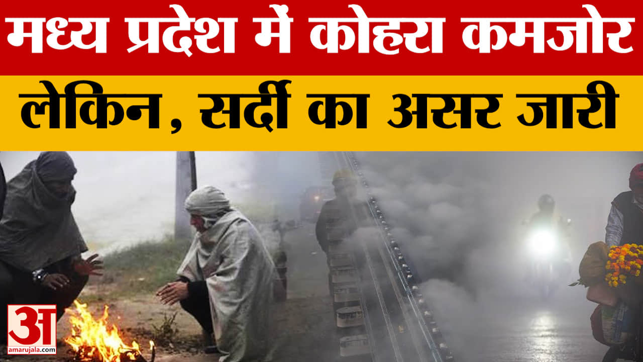 MP Weather News: हिमालयी सिस्टम का असर, ठंड और बढ़ेगी.. अगले कुछ दिन कैसा रहेगा मौसम, जान लीजिए