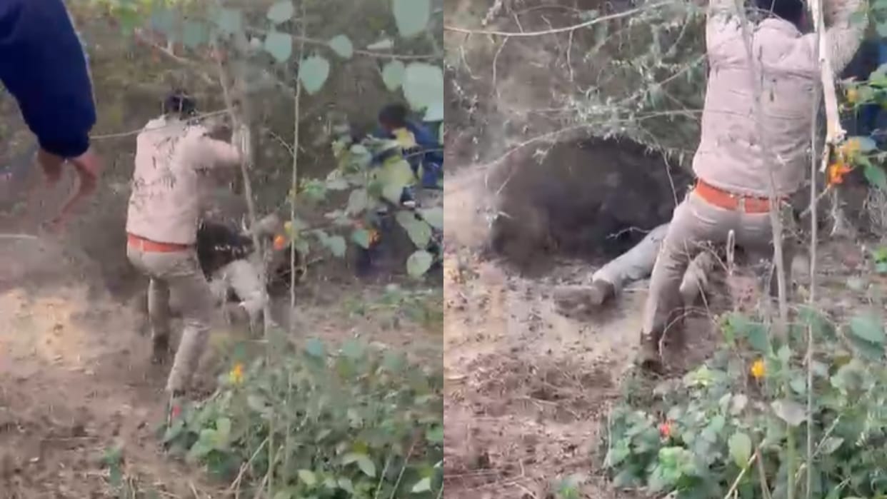 wild pig attacked a forest ranger during the rescue operation in Budaun
