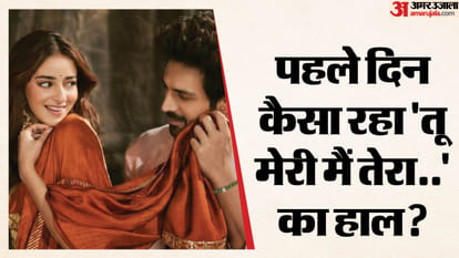 क्रिसमस पर भी नहीं चला कार्तिक-अनन्या की फिल्म का जादू