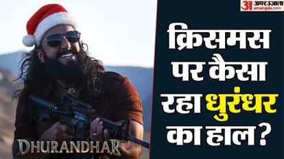 Dhurandhar Day 21 Box Office Collection: Ranveer Singh Akshaye Khanna Madhavan Movie Earning On Christmas