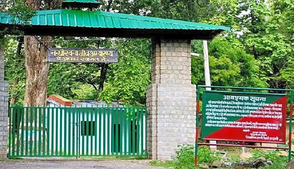 Nandhour Wildlife Sanctuary is buzzing with the presence of rare birds in haldwani