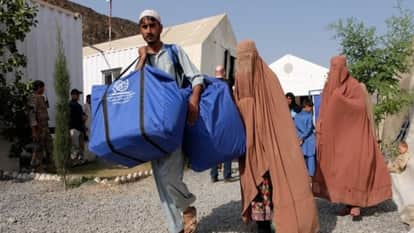 UNHCR says Two million Afghan refugees still living in Pakistan Afghanistan shehbaz sharif Taliban