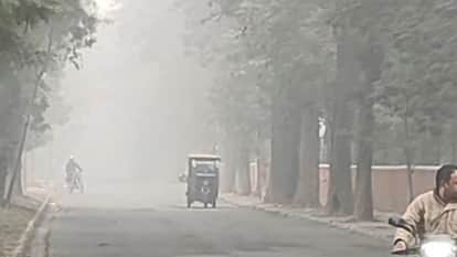 Fog in chandigarh panchkula mohali mausam update