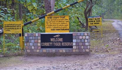 Bookings for Corbett Tiger Reserve in Ramnagar are full until January