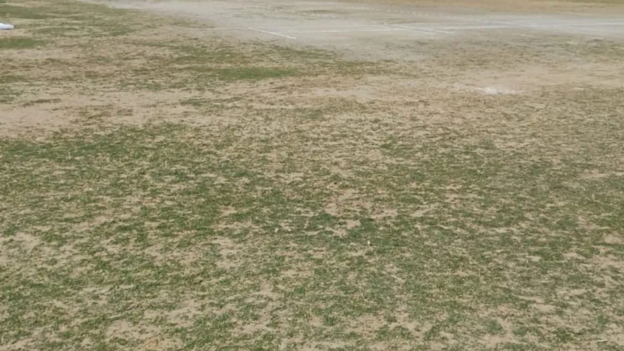 viral video of boy who dug entire cricket pitch from tractor when didnt get batting in match