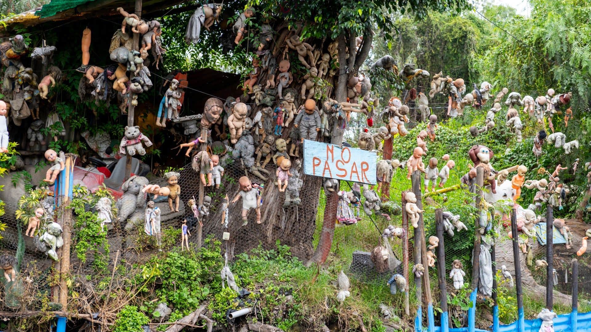 World’s Most Mysterious Island Filled With Creepy Dolls Check strange facts in Hindi