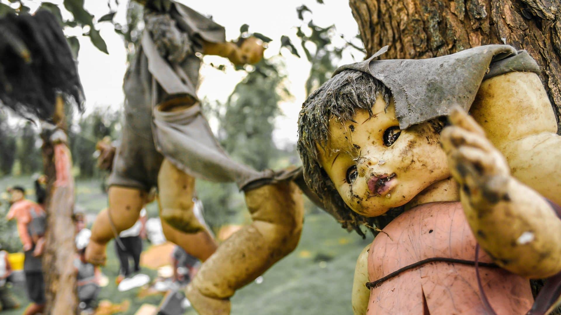 World’s Most Mysterious Island Filled With Creepy Dolls Check strange facts in Hindi