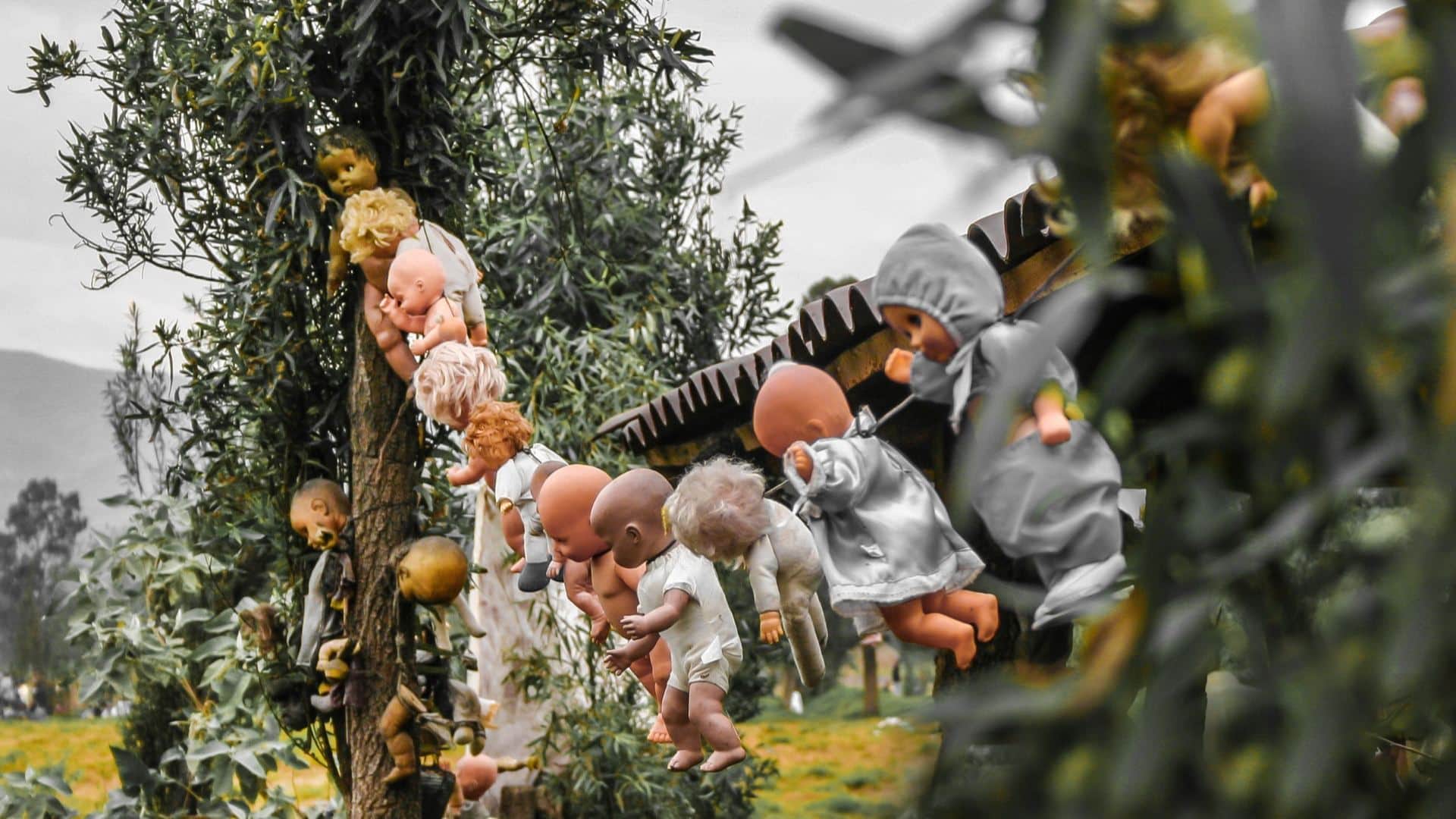 World’s Most Mysterious Island Filled With Creepy Dolls Check strange facts in Hindi