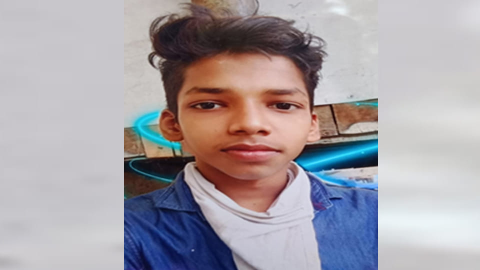 Kanpur: Three youths, including a delivery boy, die in road accidents