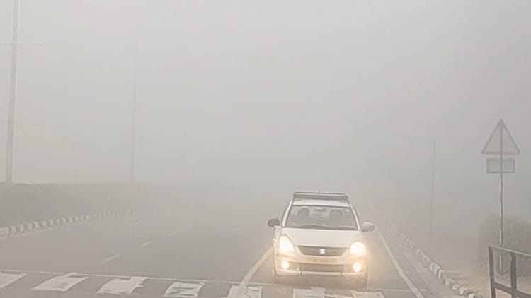 चंडीगढ़ में घना कोहरा:ठंड में इजाफा, दृश्यता कम होने से वाहन चालक परेशान, नौ उड़ानें रद्द – Dense Fog In Chandigarh Zero Visibility