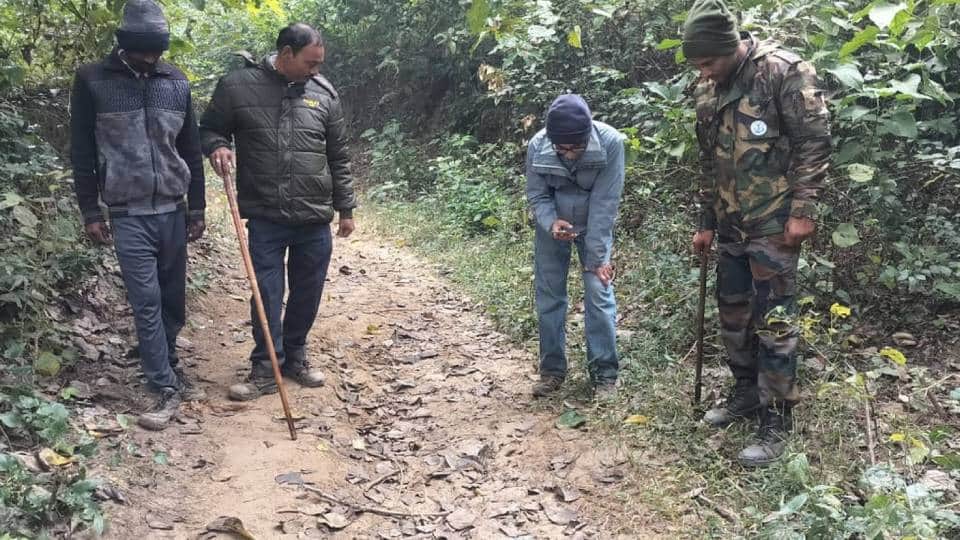 tigers now terrorize After wolves and leopards villages in UP two women killed and two youths injured