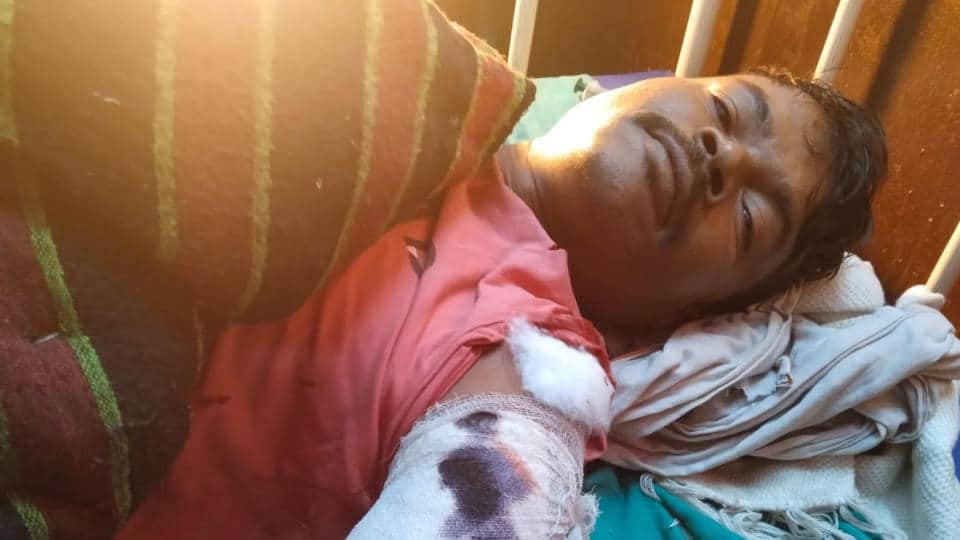 tigers now terrorize After wolves and leopards villages in UP two women killed and two youths injured