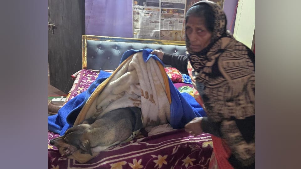 Two sisters committed suicide distressed by their pet dog illness in lucknow