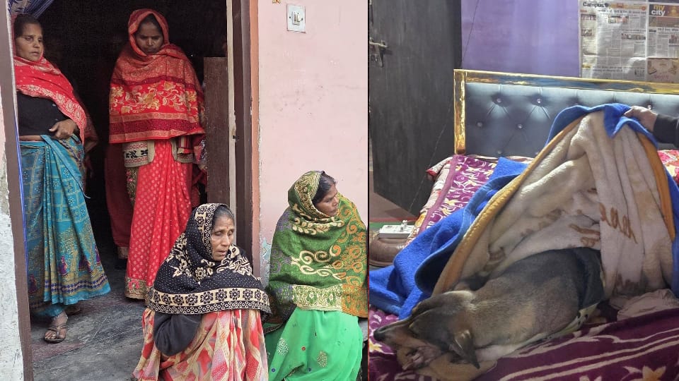 Two sisters committed suicide distressed by their pet dog illness in lucknow