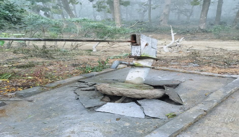 Wild elephants uprooted a handpump in Suryanagar