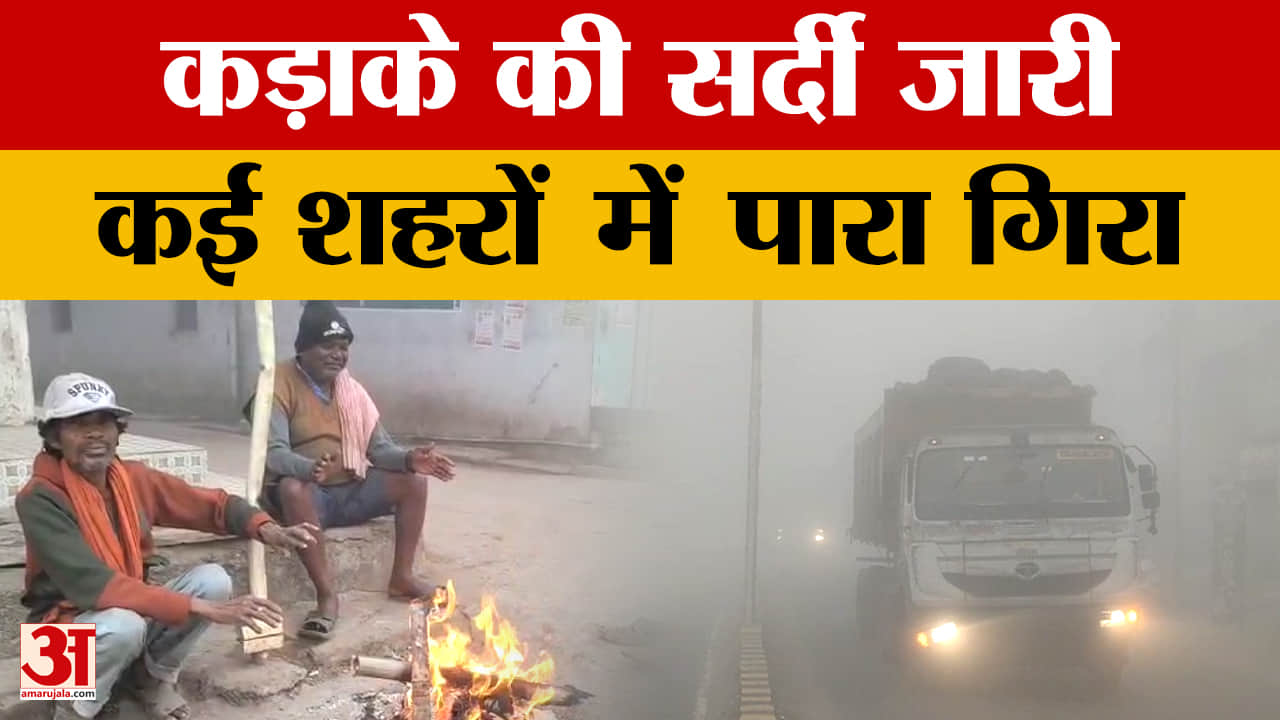 Rajasthan Weather News: तेज धूप निकलने के बावजूद नहीं मिली सर्दी से राहत, राजस्थान में कड़ाके की सर्