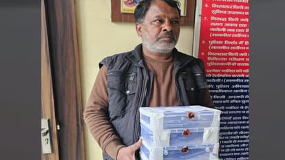 Kanpur: Man arrested for supplying four pistols made in Madhya Pradesh