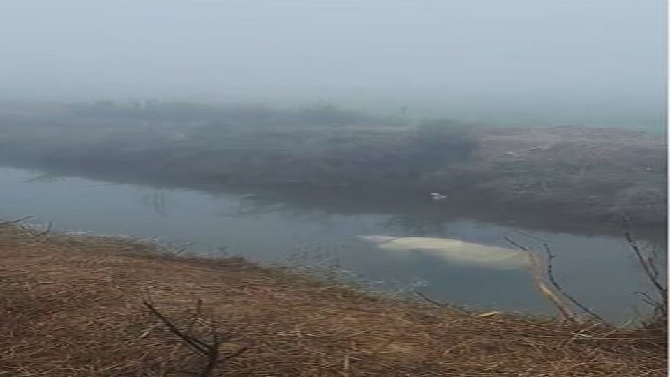 old man body found in Vedhai Bamba in Sadabad