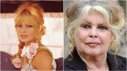 brigitte bardot death french cinema legend life journey animal rights activism