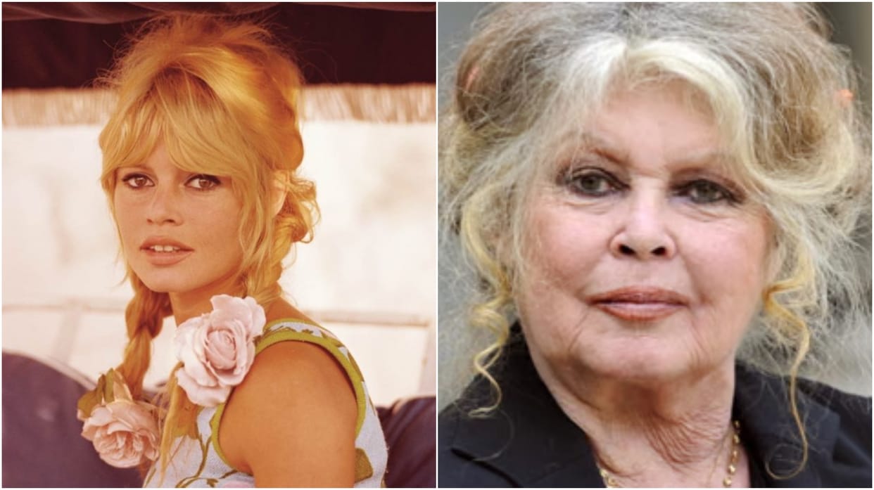 brigitte bardot death french cinema legend life journey animal rights activism