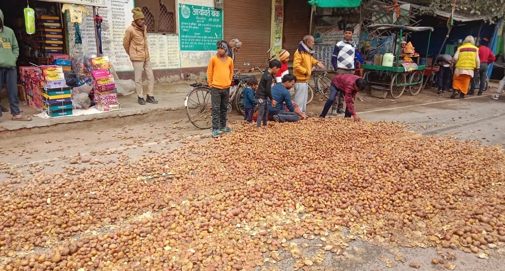 Kannauj Farmers protest against falling potato prices huge quantities of produce dumped on the road