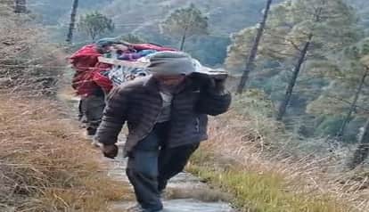 Horses and mules were used to carry supplies, and palanquins were used to transport the sick