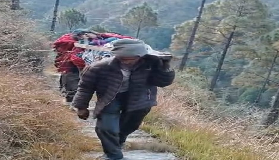 Horses and mules were used to carry supplies, and palanquins were used to transport the sick
