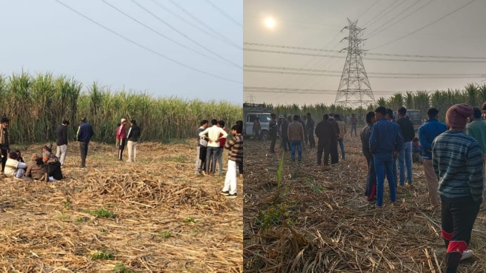 Farmer killed by hammer blow on head in Muradnagar