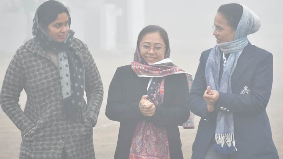UP Moradabad Weather Forecast Today: Dense Fog, Cold Wave IMD Alert Aaj ka Mausam ki Jankari