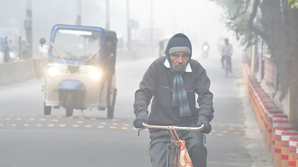 UP Moradabad Weather Forecast Today: Dense Fog, Cold Wave IMD Alert Aaj ka Mausam ki Jankari