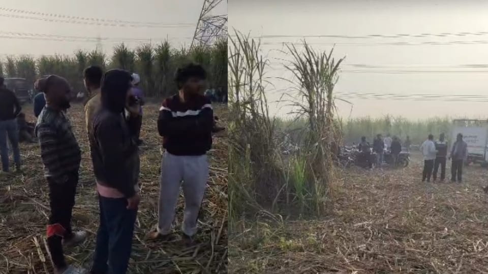 Farmer killed by hammer blow on head in Muradnagar