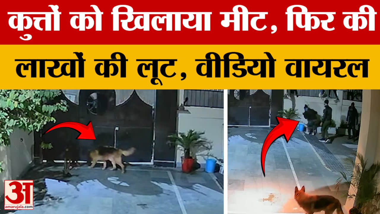 Bhopal: कुत्तों को खिलाया मीट, फिर घर में घुस लाखों की लूट, वायरल वीडियो से मचा हड़कंप।