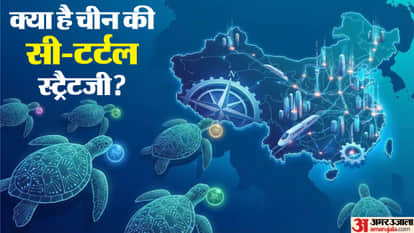 china sea turtle strategy haigui aced dominance in technological advancement