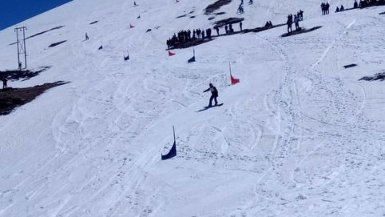 Himachal News Snow has deserted Chanshal and the plan to put the valley on the world map is slipping away