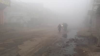 Weather news Dense Fog in Haryana Cold wave in Hisar