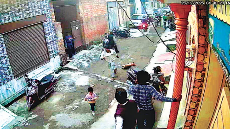 Meerut: Man Brutally Kills Dog, Drags It with Rope in Kankerkhera, Video Goes Viral